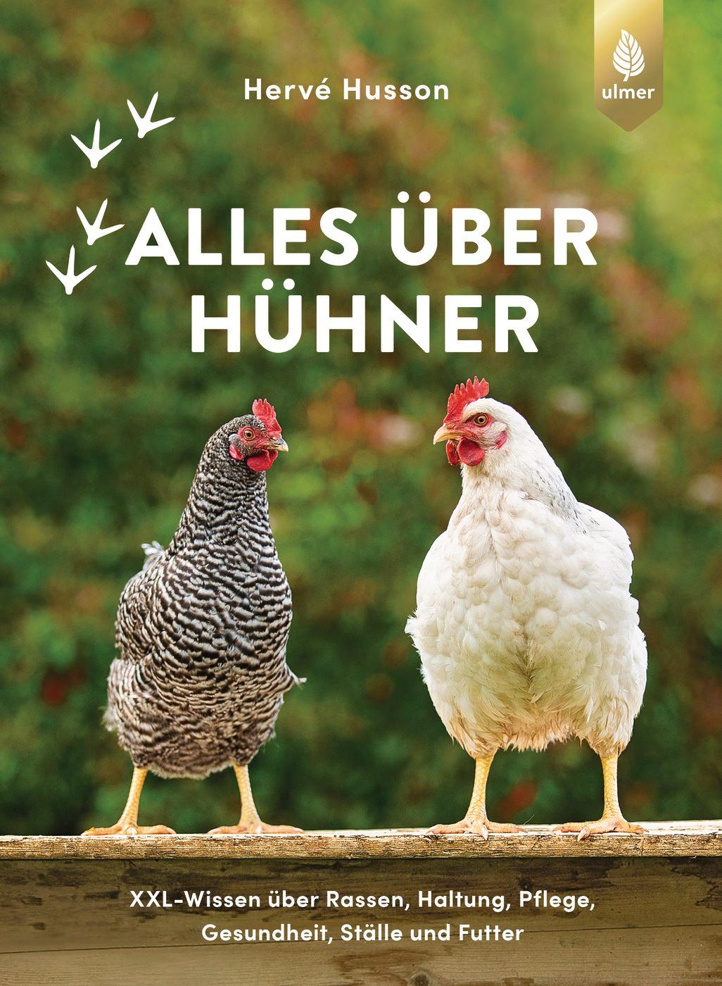 Cover: 9783818615192 | Alles über Hühner | Hervé Husson | Buch | 256 S. | Deutsch | 2022