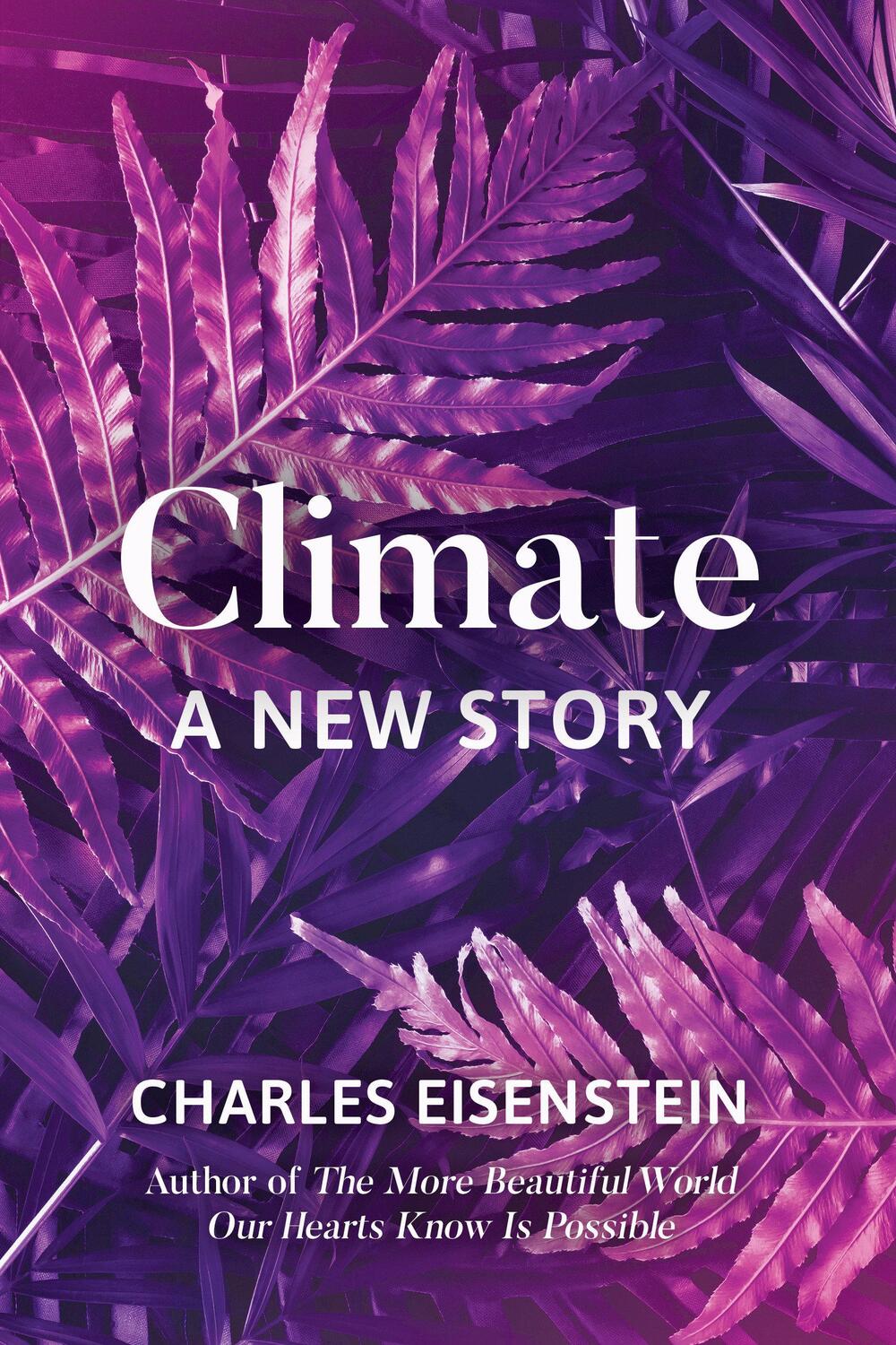 Cover: 9781623172480 | Climate--A New Story | Charles Eisenstein | Taschenbuch | Englisch