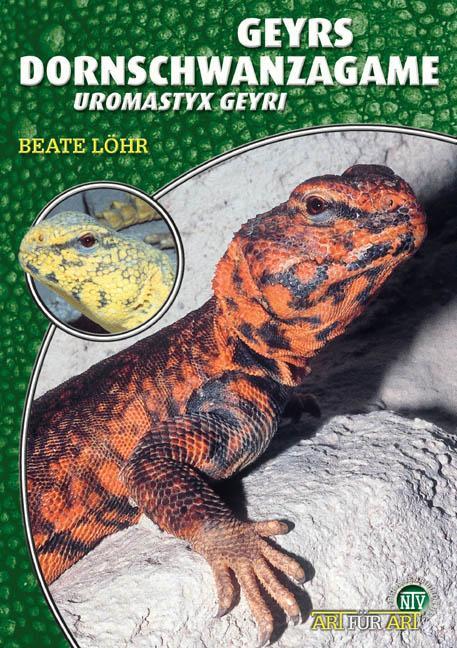 Cover: 9783937285092 | Geyrs Dornschwanzagame | Uromastyx geyri | Beate Löhr | Taschenbuch