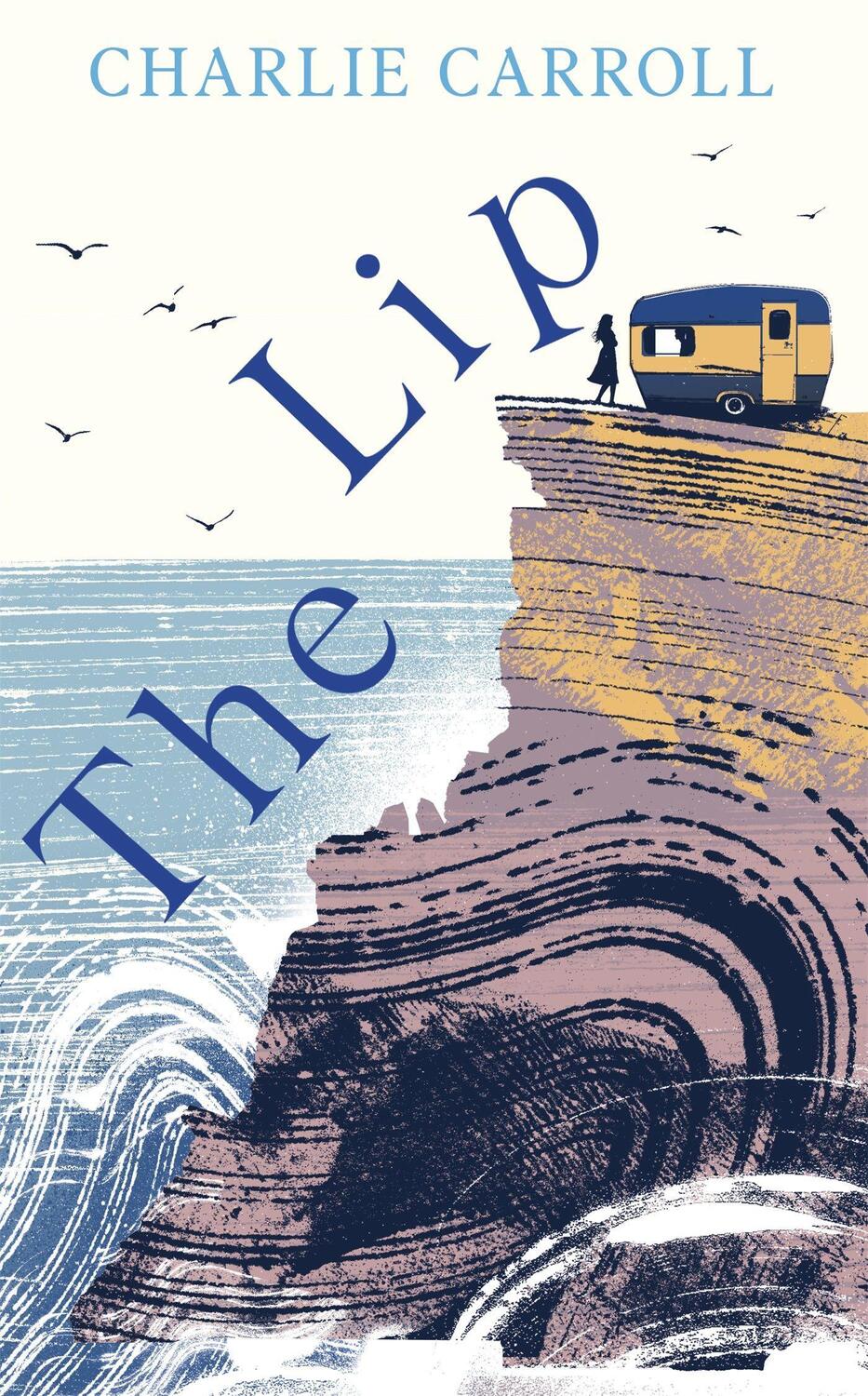 Cover: 9781529334173 | The Lip | a novel of the Cornwall tourists seldom see | Carroll | Buch