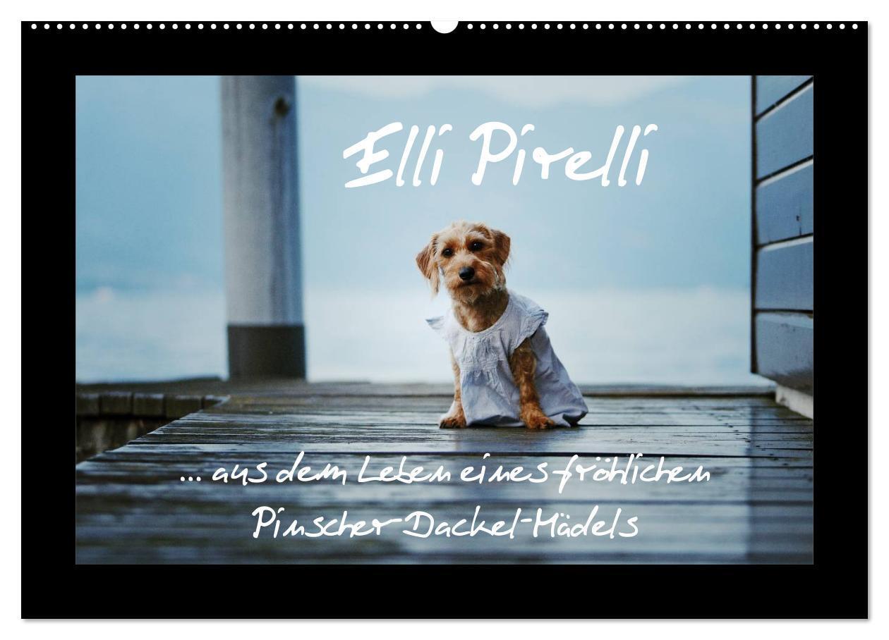 Cover: 9783675705258 | Elli Pirelli... aus dem Leben eines fröhlichen...