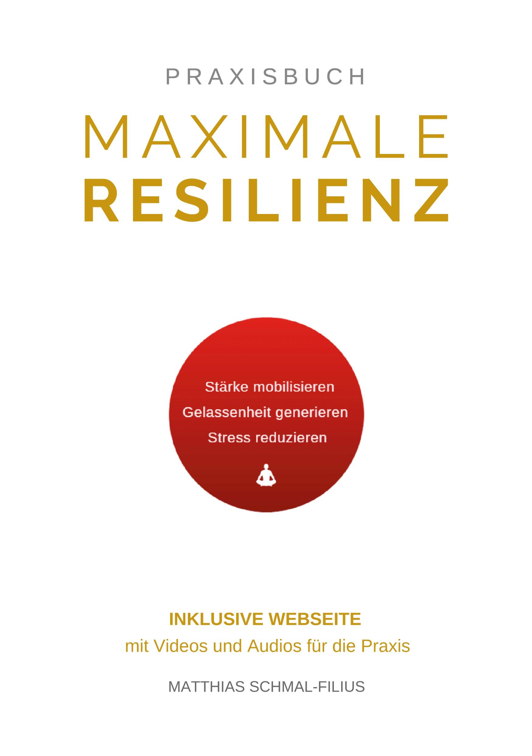 Cover: 9783751944137 | Maximale Resilienz | Matthias Schmal-Filius | Taschenbuch | Paperback