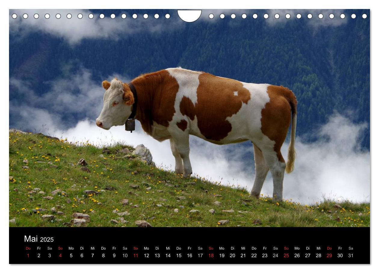 Bild: 9783435686315 | Im Tauferer Ahrntal in Südtirol (Wandkalender 2025 DIN A4 quer),...