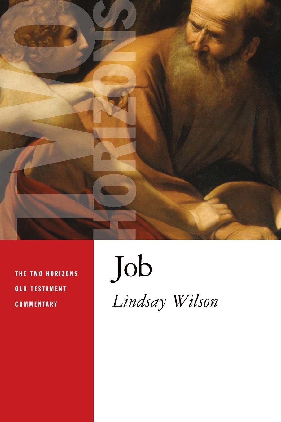 Cover: 9780802827081 | Job | Lindsay Wilson | Taschenbuch | Englisch | 2015