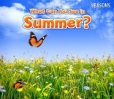 Cover: 9781406283280 | What Can You See In Summer? | Sian Smith | Taschenbuch | Englisch