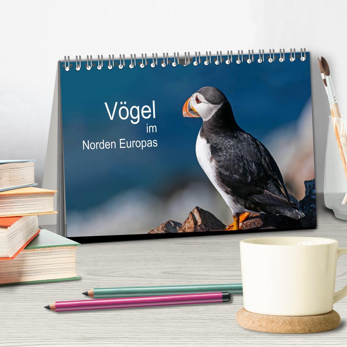 Bild: 9783435676323 | Vögel im Norden Europas (Tischkalender 2025 DIN A5 quer), CALVENDO...