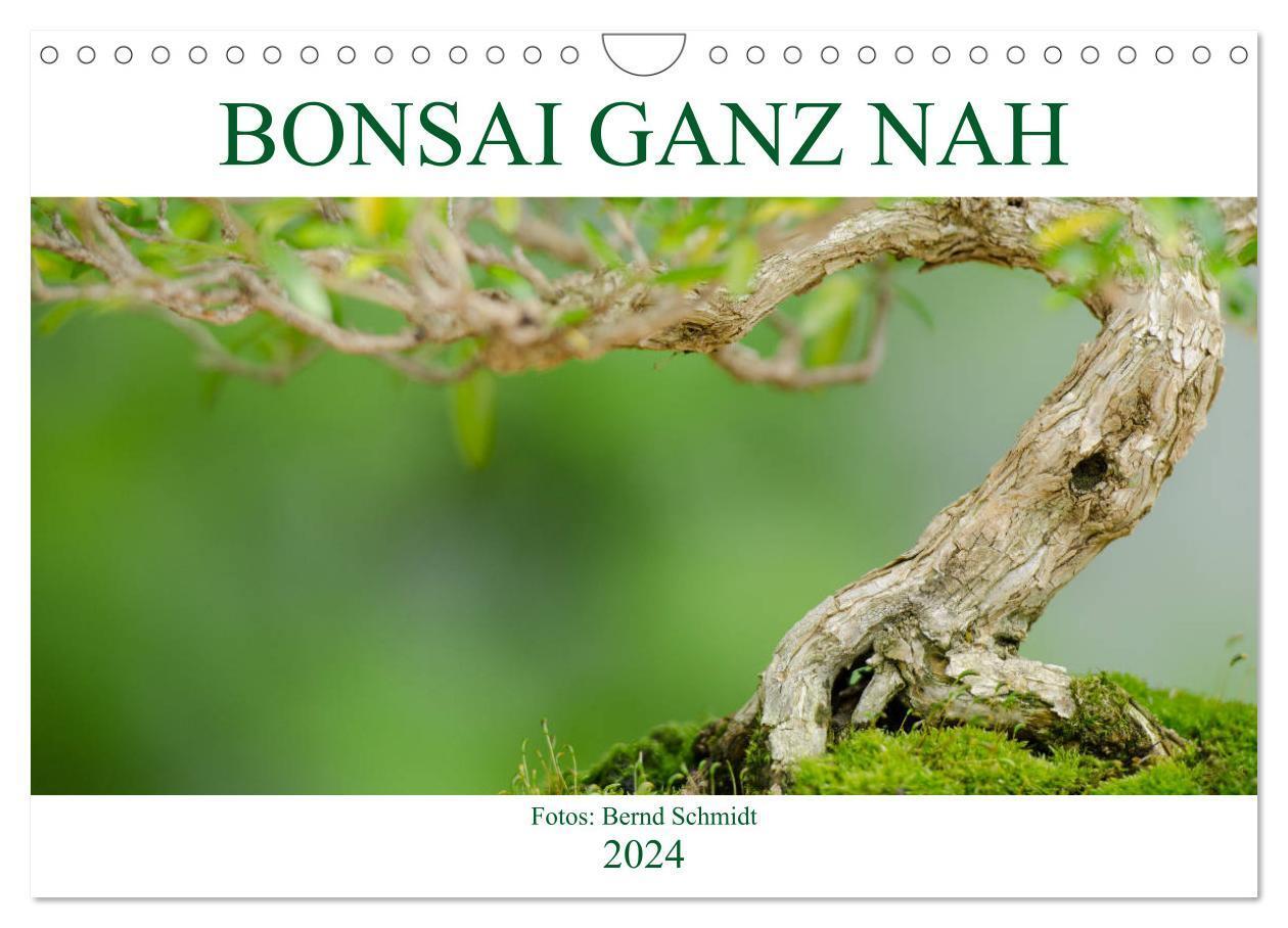 Cover: 9783675457669 | Bonsai ganz nah (Wandkalender 2024 DIN A4 quer), CALVENDO...