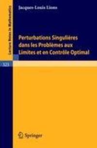 Cover: 9783540062646 | Perturbations Singulieres dans les Problemes aux Limites et en...