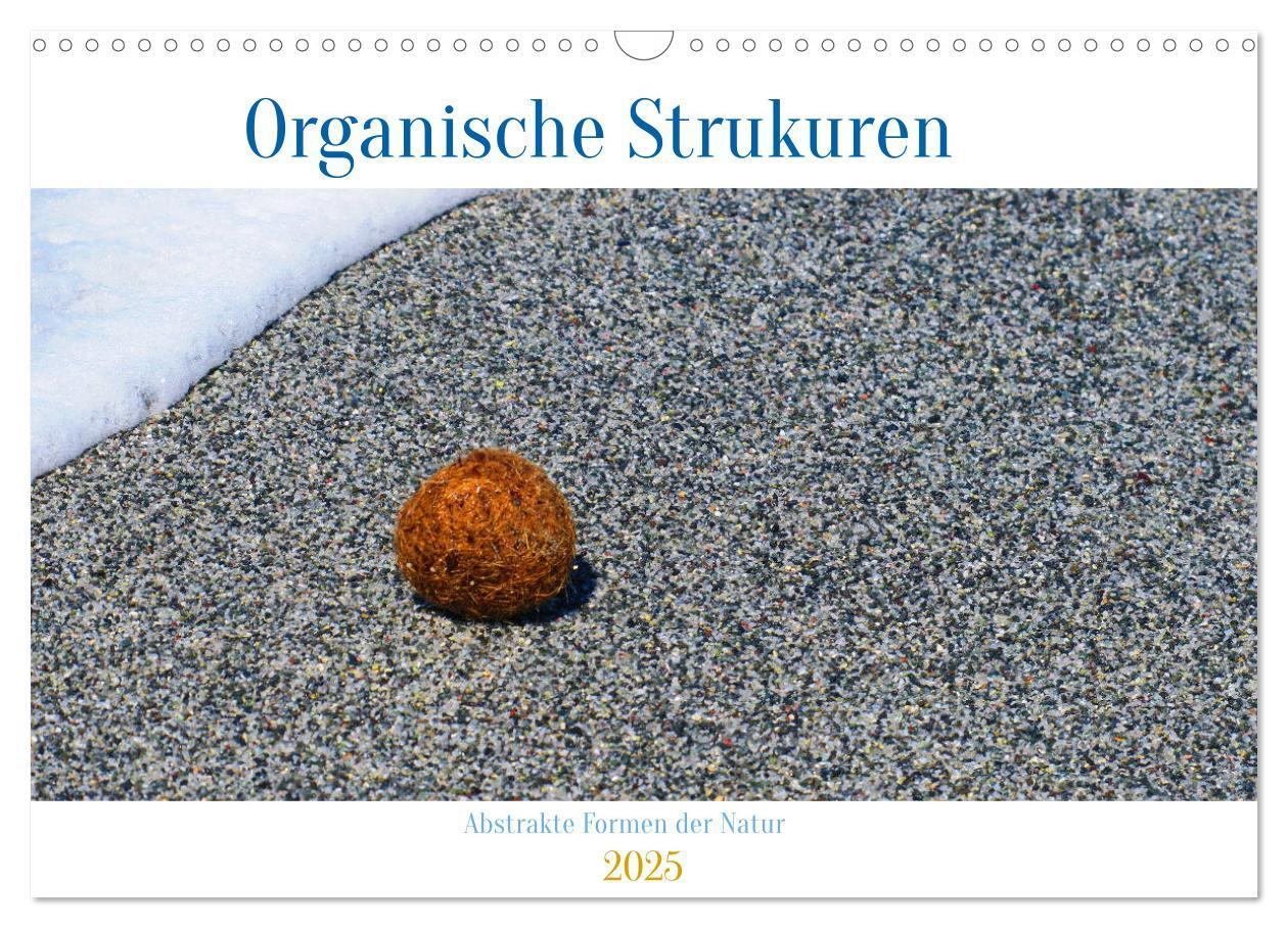 Cover: 9783457171882 | organische Strukturen Abstrakte Formen der Natur (Wandkalender 2025...