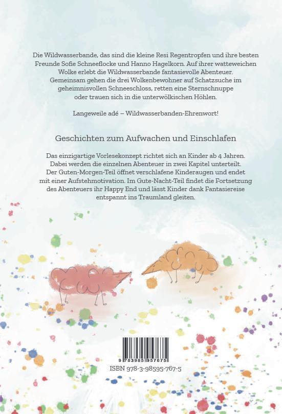 Rückseite: 9783985957675 | Die Wildwasserbande | Abenteuer in den Wolken | Karolin Gaßmann | Buch