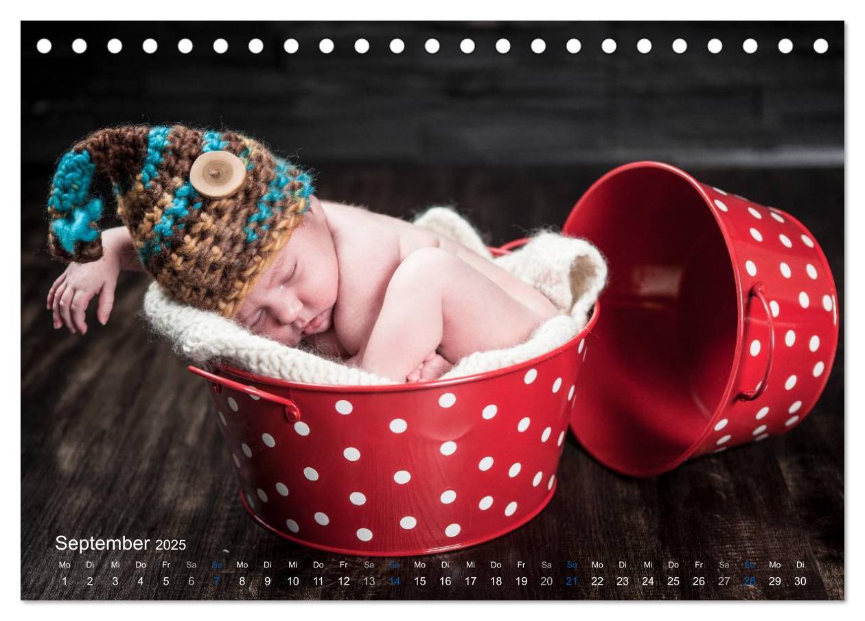 Bild: 9783435644643 | Baby - süße Träume (Tischkalender 2025 DIN A5 quer), CALVENDO...