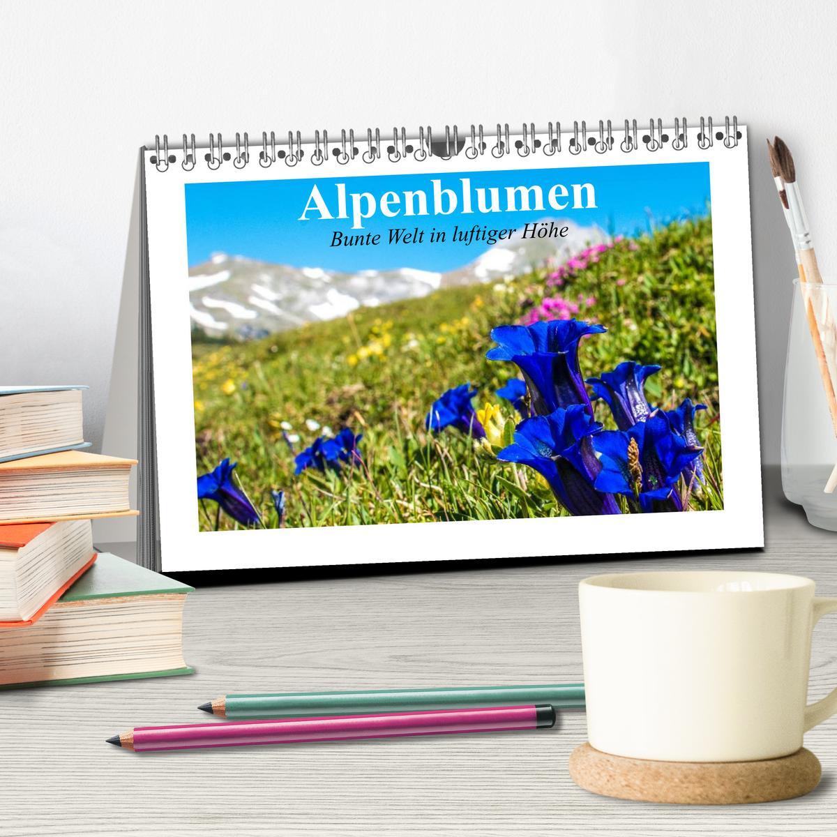 Bild: 9783435598014 | Alpenblumen. Bunte Welt in luftiger Höhe (Tischkalender 2025 DIN A5...