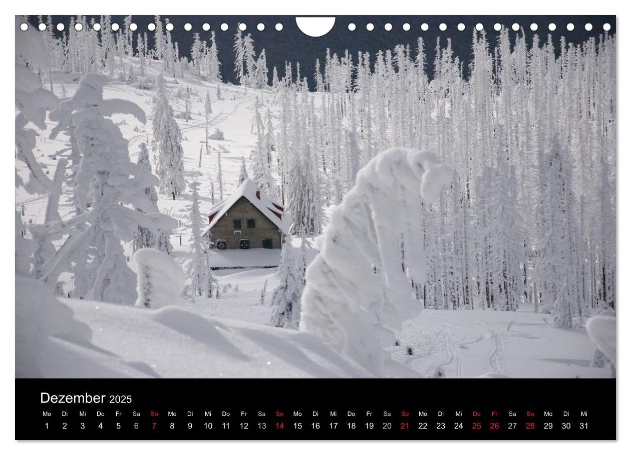 Bild: 9783435685011 | Bayerischer Wald - der Osten Bayerns (Wandkalender 2025 DIN A4...