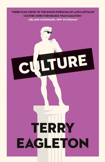 Cover: 9780300270617 | Culture | Terry Eagleton | Taschenbuch | Kartoniert / Broschiert