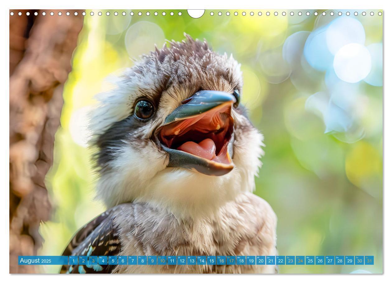 Bild: 9783383777899 | Der Kookaburra - Im australischen Busch mit dem lachenden Hans...