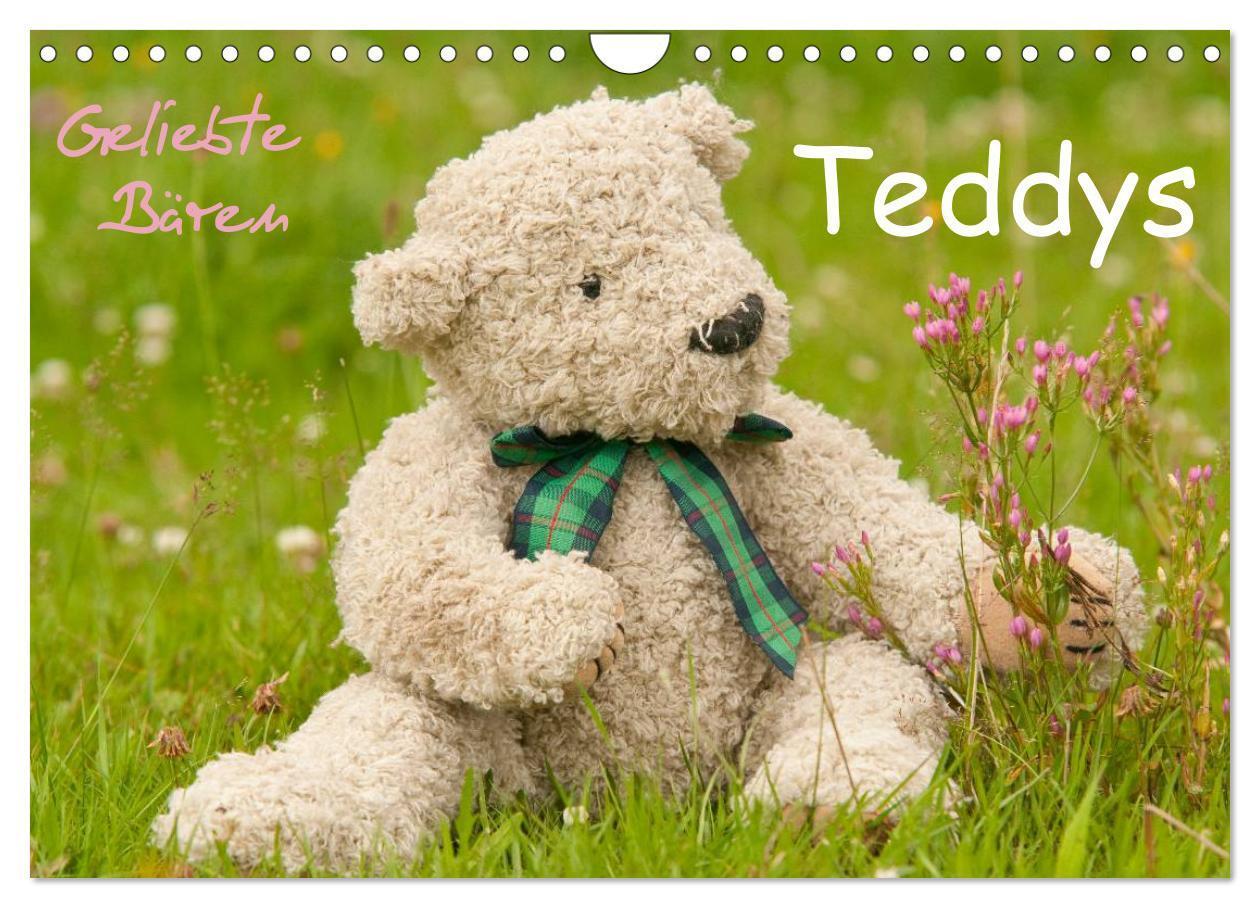 Cover: 9783435576586 | Geliebte Bären - Teddys (Wandkalender 2025 DIN A4 quer), CALVENDO...