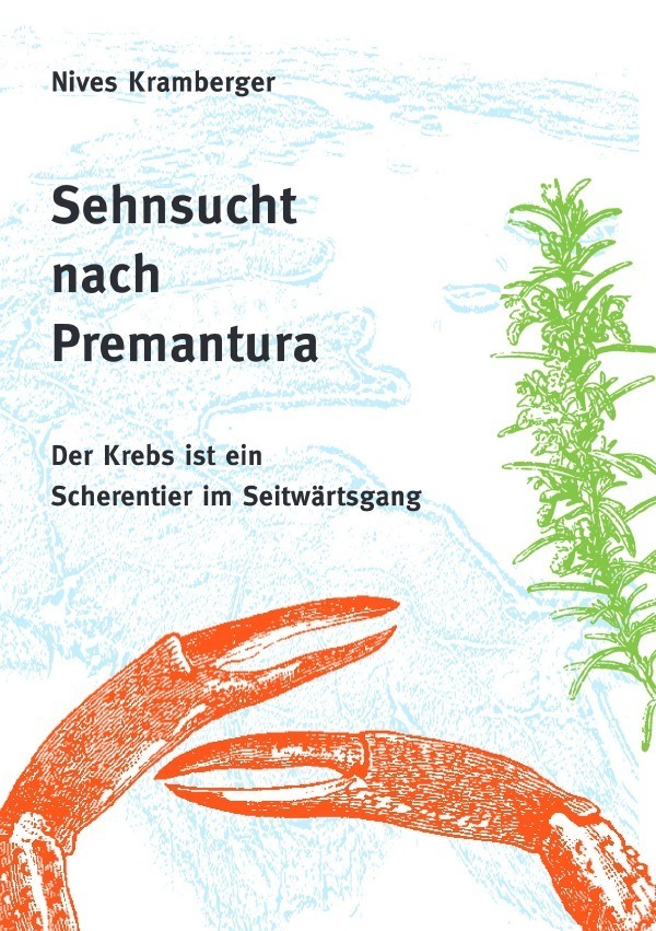 Cover: 9783754109816 | Sehnsucht nach Premantura | Nives Kramberger | Taschenbuch | epubli