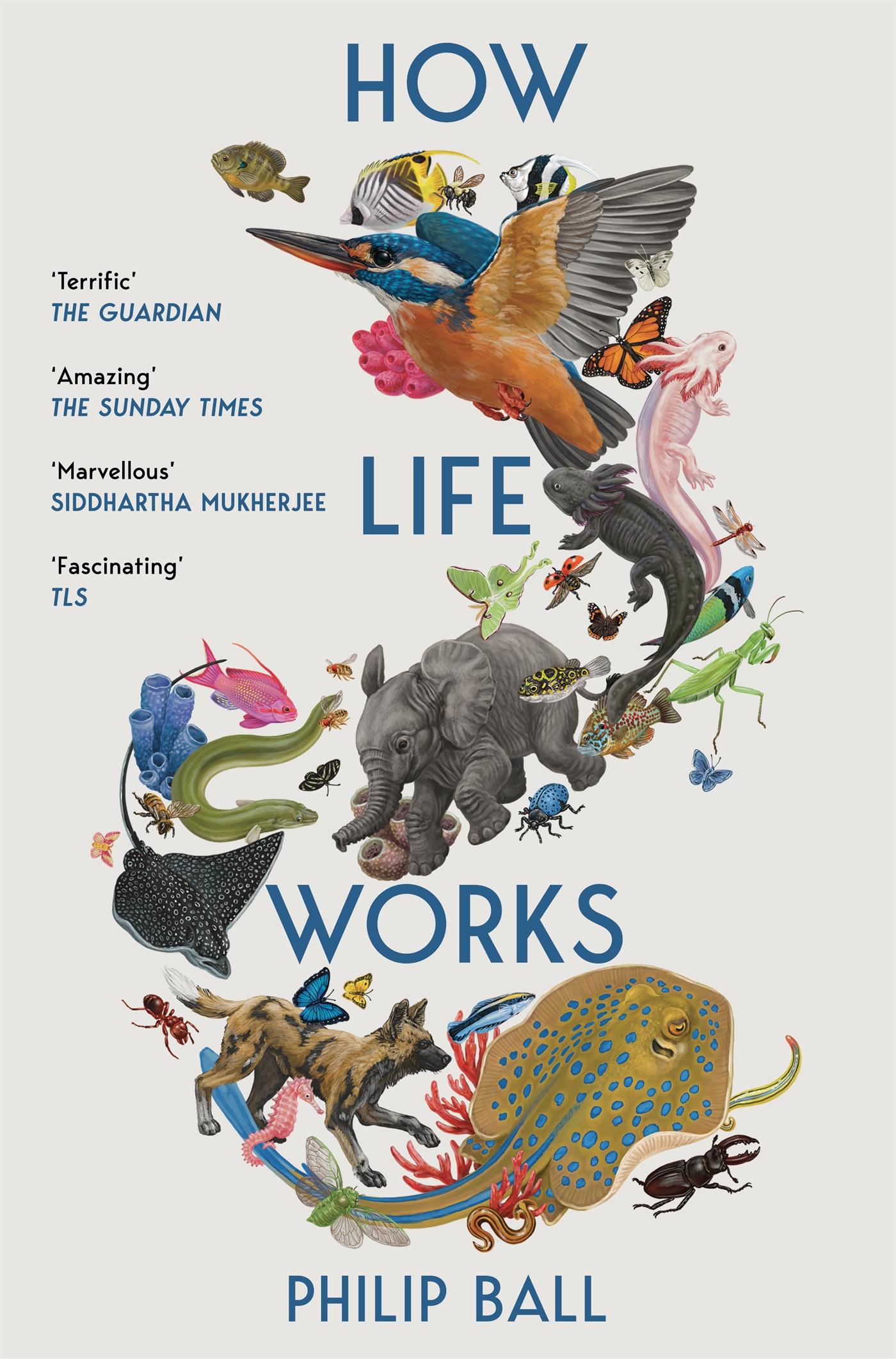 Cover: 9781529096002 | How Life Works | A User's Guide to the New Biology | Philip Ball