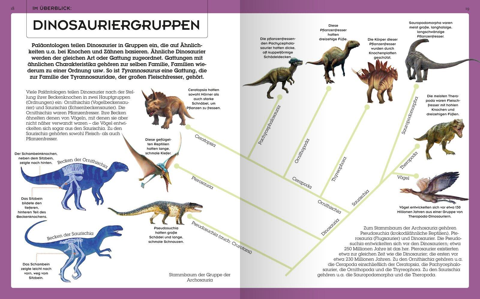 Bild: 9783741527241 | Das große Dinosaurierbuch | Claudia Martin | Buch | 128 S. | Deutsch