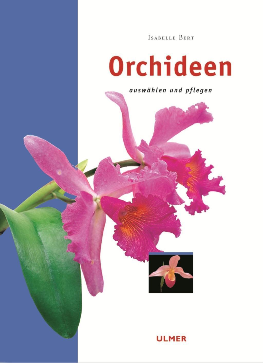 Cover: 9783800166961 | Orchideen | auswählen und pflegen, Garten-Ratgeber | Isabelle Bert