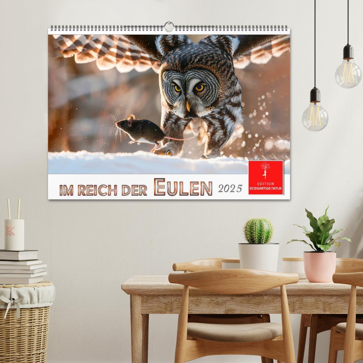 Bild: 9783457232729 | Im Reich der Eulen (Wandkalender 2025 DIN A2 quer), CALVENDO...