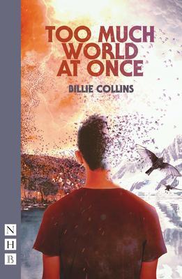 Cover: 9781839041358 | Too Much World at Once | Billie Collins | Taschenbuch | 2023