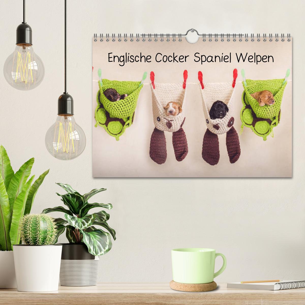 Bild: 9783435330980 | Englische Cocker Spaniel Welpen (Wandkalender 2025 DIN A4 quer),...