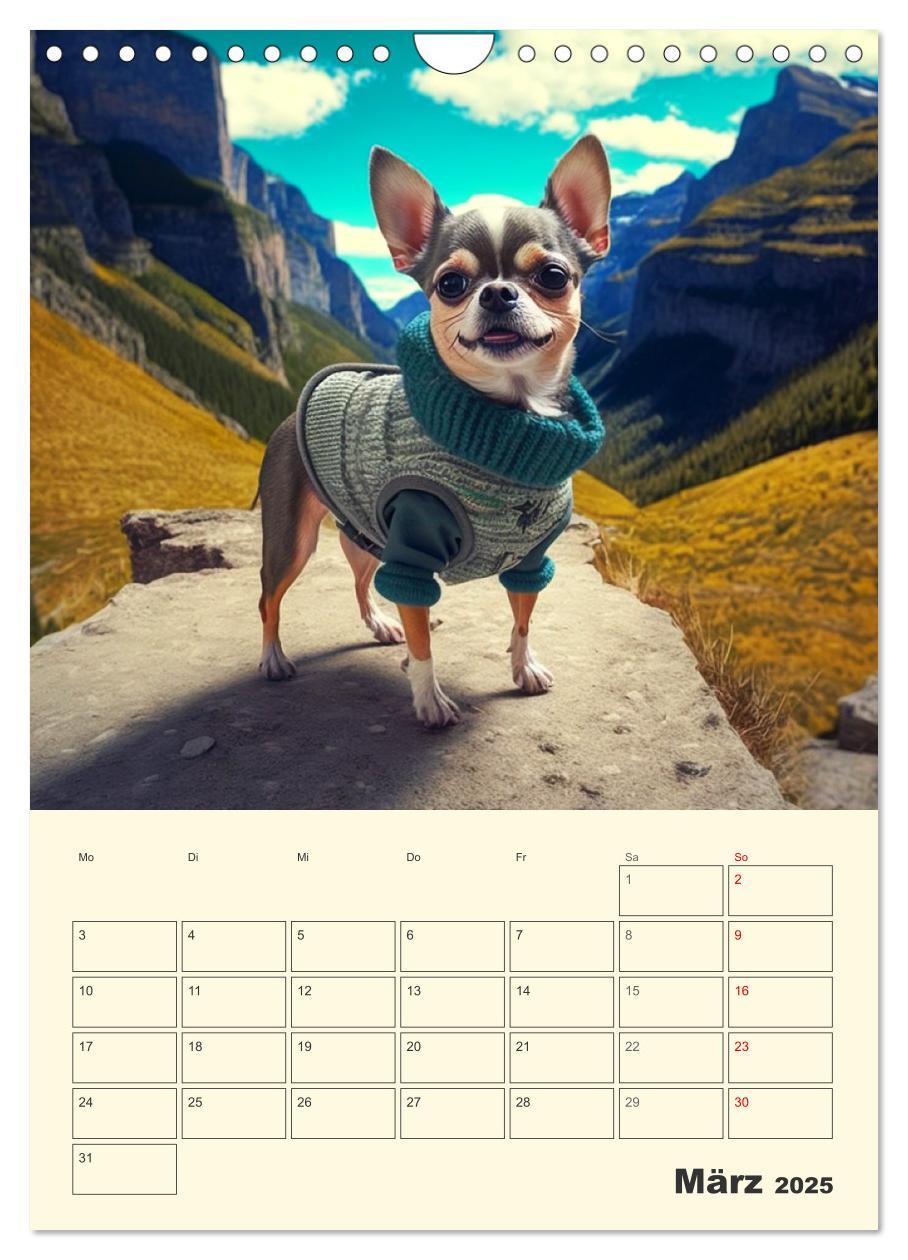 Bild: 9783435871766 | Witzige Chihuahuas. Glückliche Temperamentbündel (Wandkalender 2025...