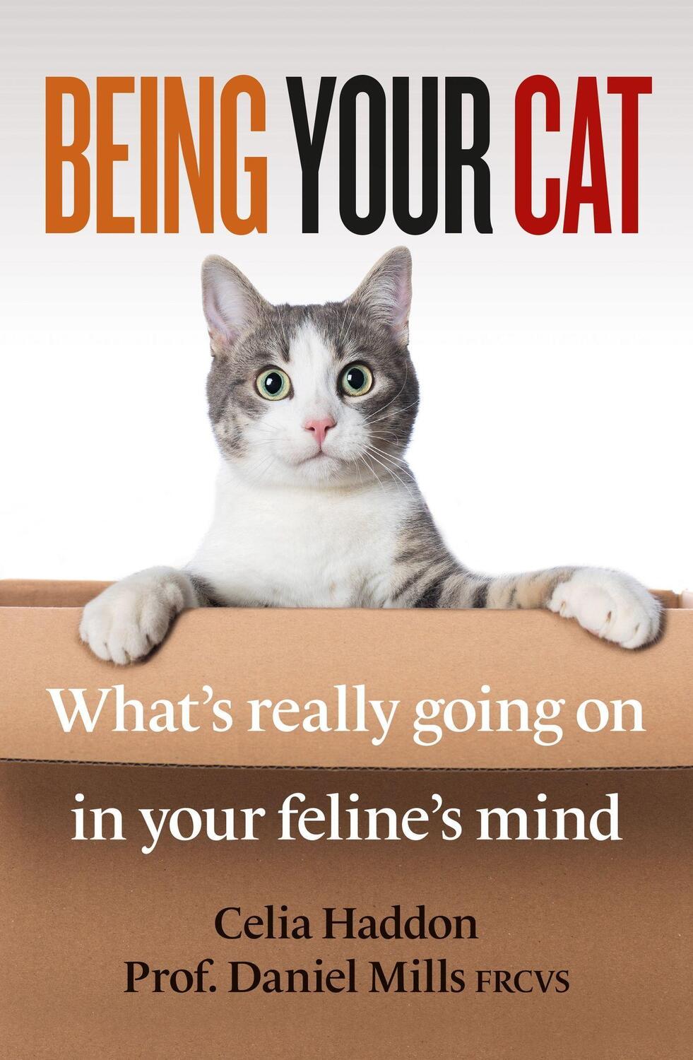 Cover: 9781788404051 | Being Your Cat | What's really going on in your feline's mind | Buch