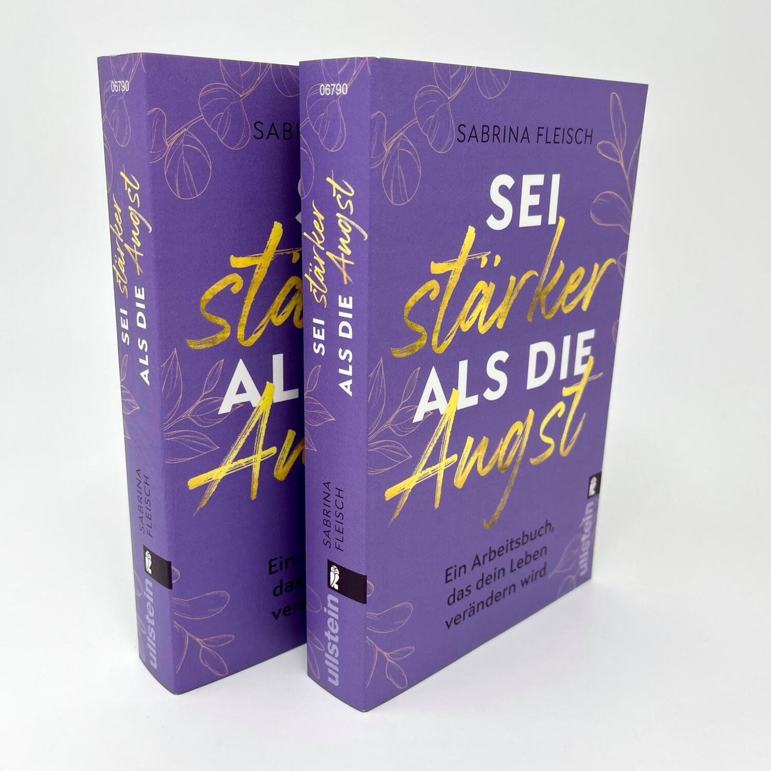 Bild: 9783548067902 | Sei stärker als die Angst | Sabrina Fleisch | Taschenbuch | 368 S.