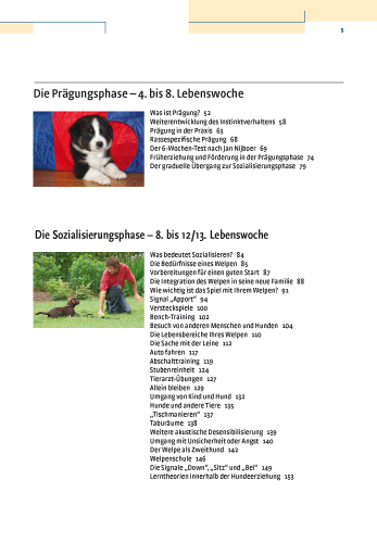 Bild: 9783440112342 | Vom Welpen zum Familienhund mit Natural Dogmanship | Jan Nijboer