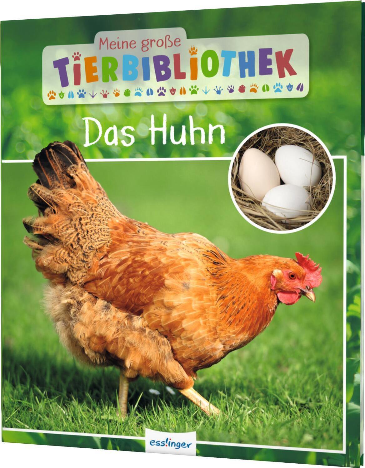 Cover: 9783480236183 | Meine große Tierbibliothek: Das Huhn | Christian Havard (u. a.) | Buch
