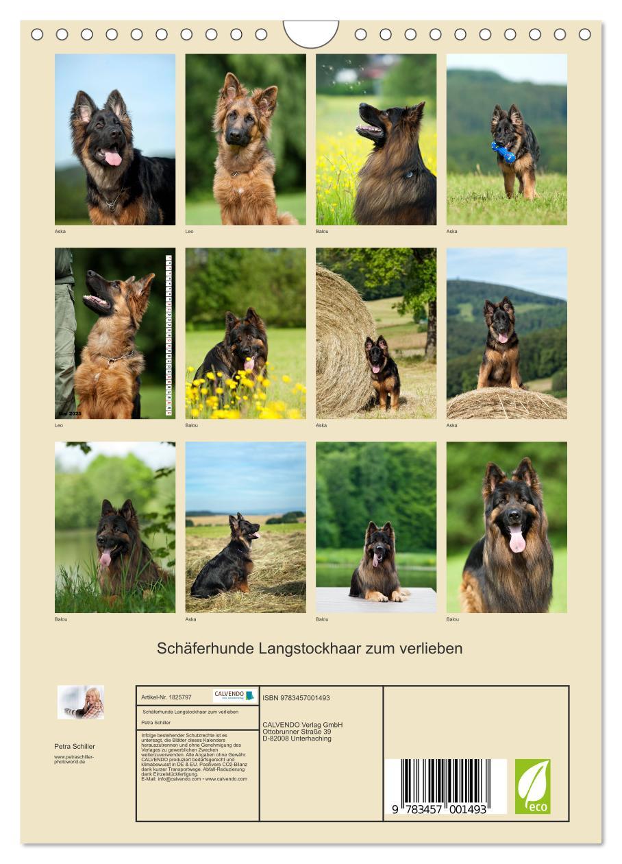 Bild: 9783457001493 | Schäferhunde Langstockhaar zum verlieben (Wandkalender 2025 DIN A4...