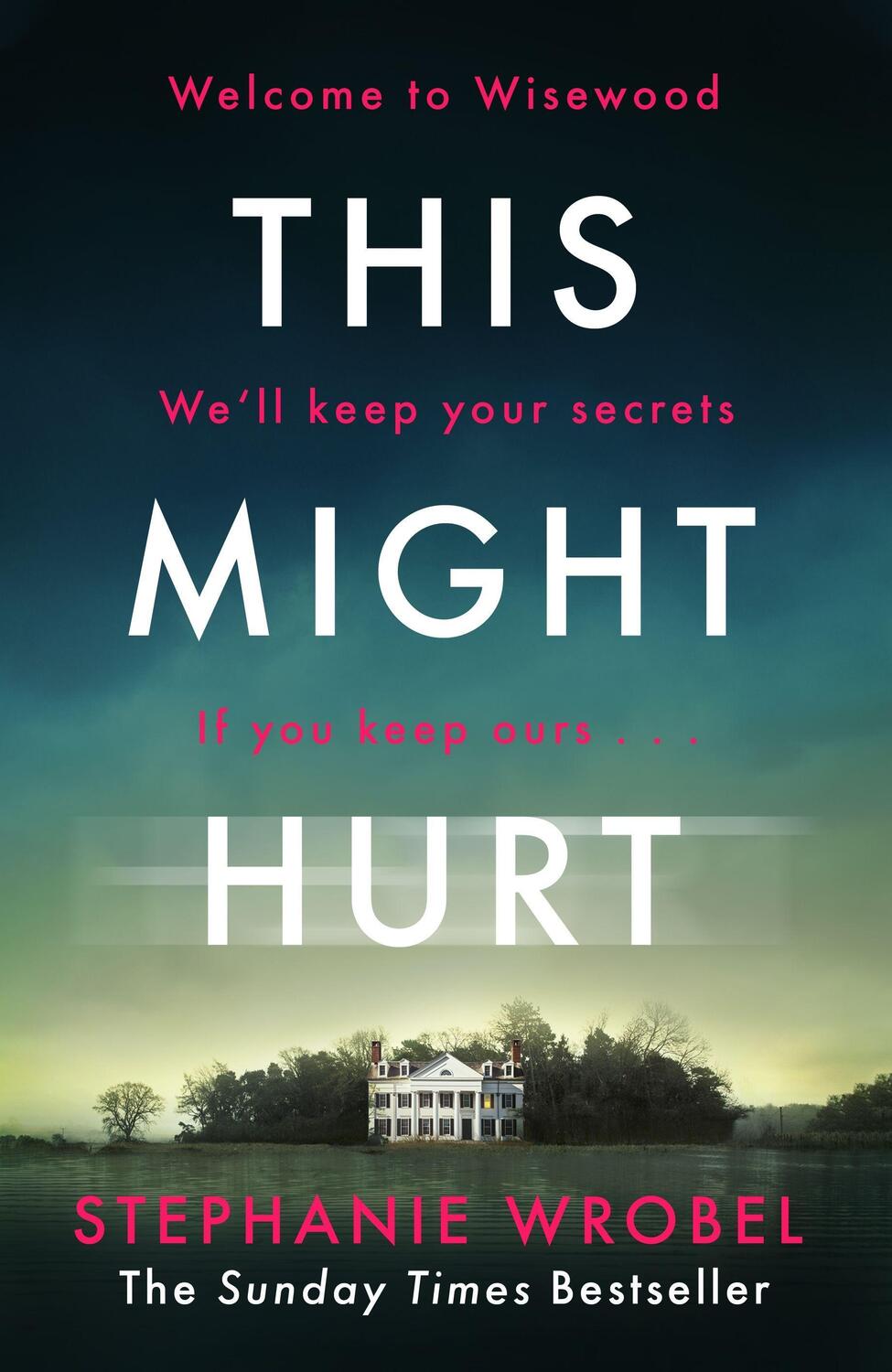 Cover: 9781405943550 | This Might Hurt | Stephanie Wrobel | Taschenbuch | B-format paperback