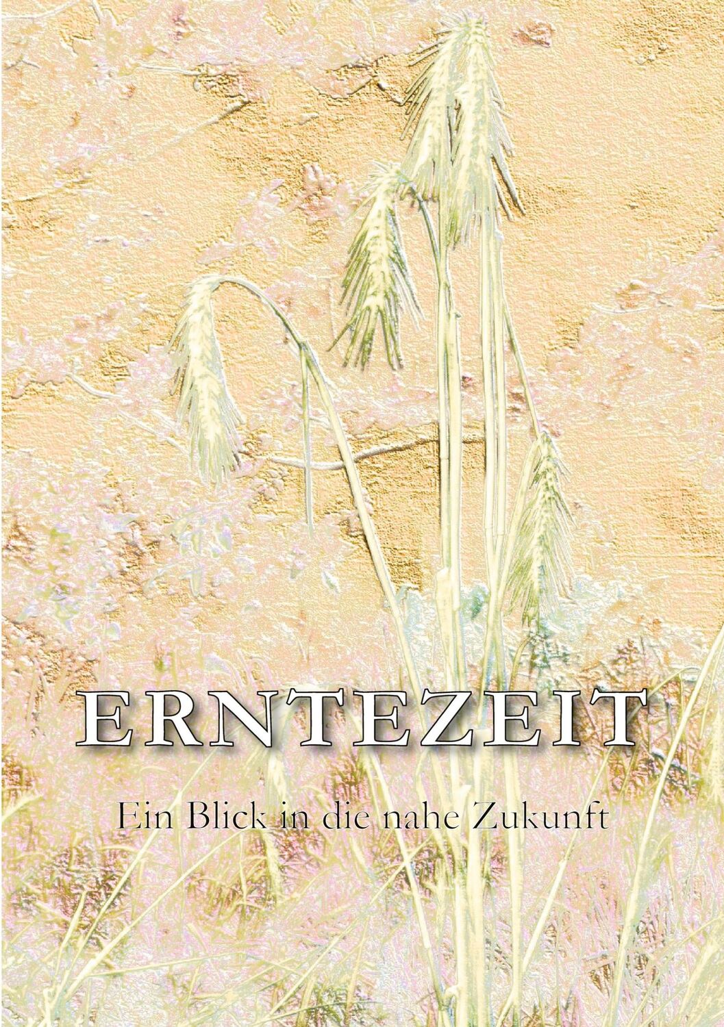 Cover: 9783758306136 | Erntezeit | Blick in die nahe Zukunft | Dieter Lange | Taschenbuch