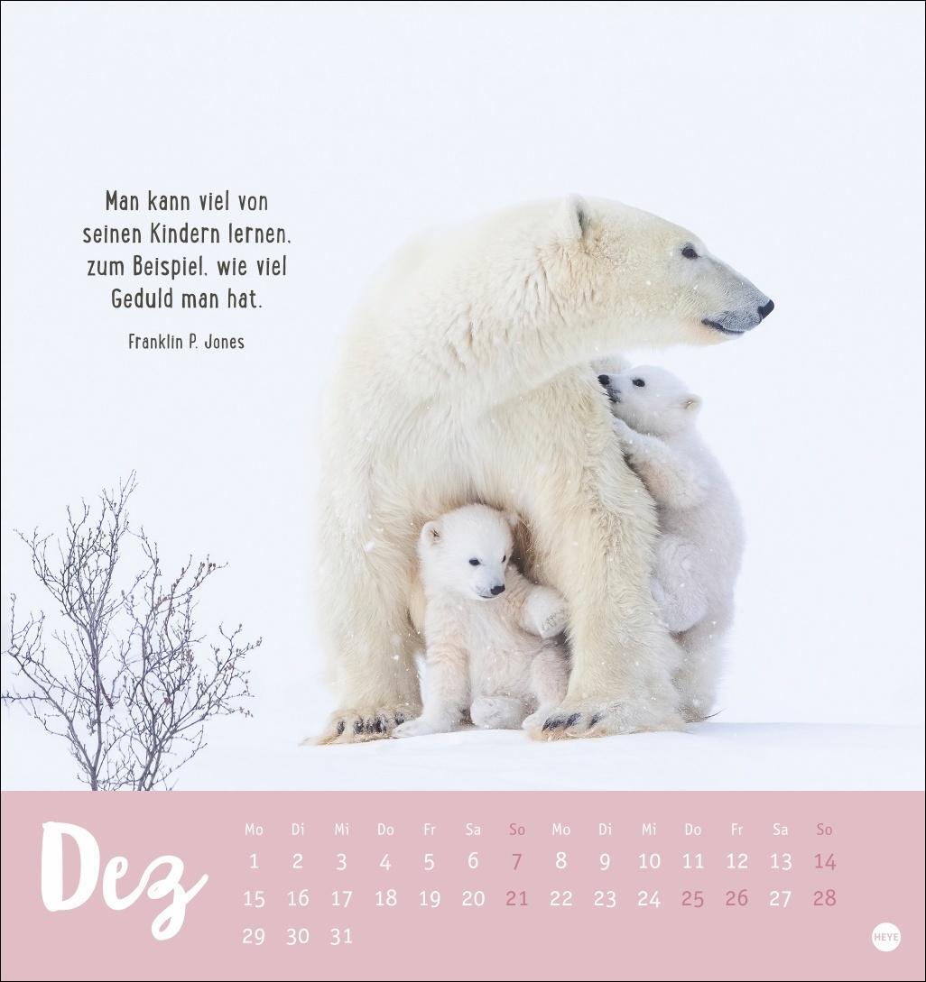 Bild: 9783756407194 | Mama! Postkartenkalender 2025 - Ohne dich geht nix! | Kalender | 13 S.