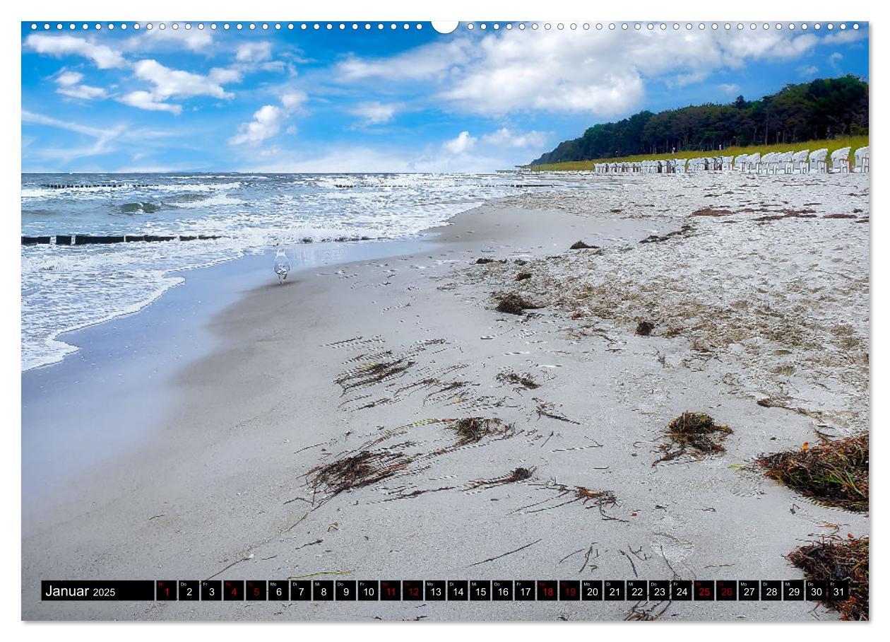 Bild: 9783435023547 | Fischland - Darß- Zingst (Wandkalender 2025 DIN A2 quer), CALVENDO...