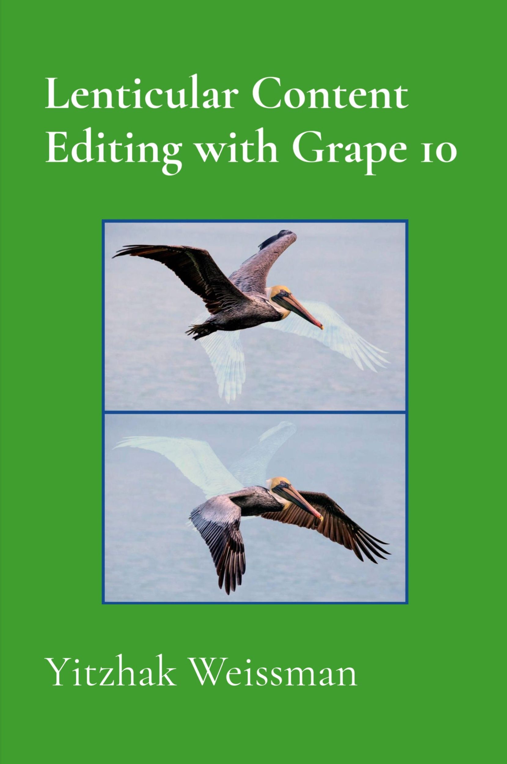 Cover: 9789655985221 | Lenticular Content Editing with Grape 10 | Yitzhak Weissman | Buch