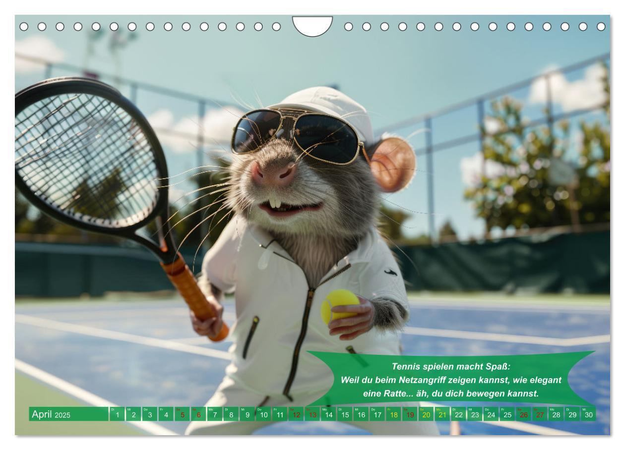 Bild: 9783457180488 | Der tierisch lustige Tennis-Kalender (Wandkalender 2025 DIN A4...