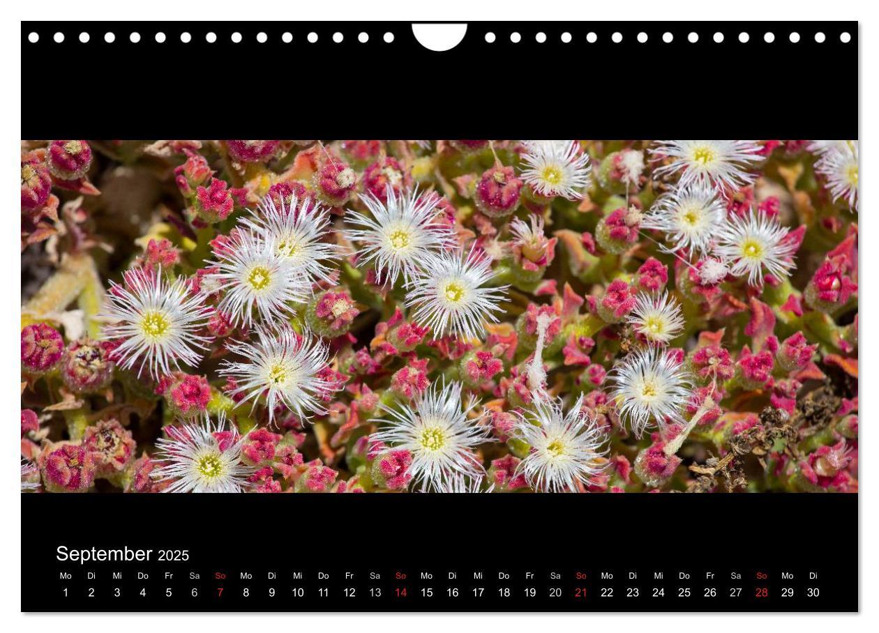 Bild: 9783435676927 | La Gomera - Kanarisches Naturparadies (Wandkalender 2025 DIN A4...