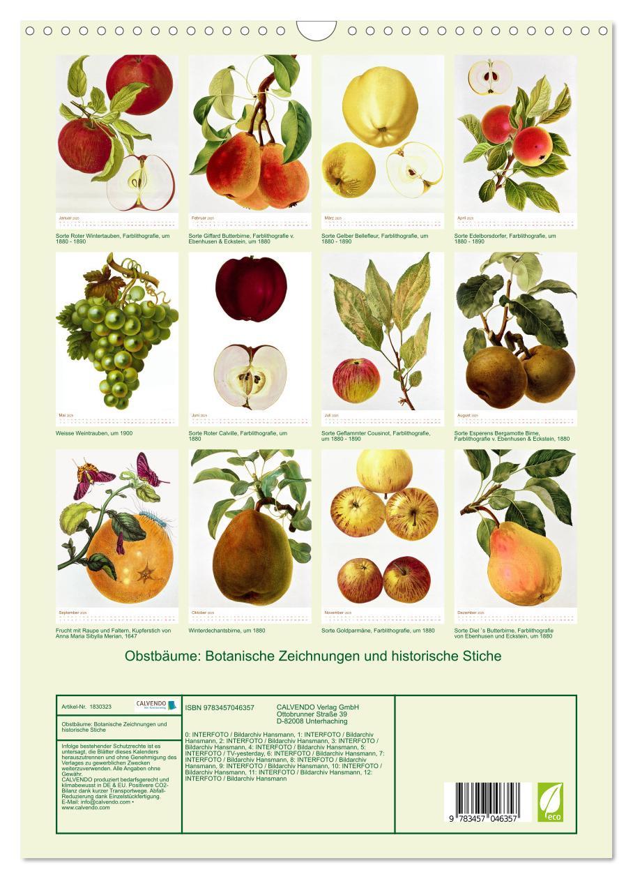 Bild: 9783457046357 | Obstbäume: Botanische Zeichnungen und historische Stiche...