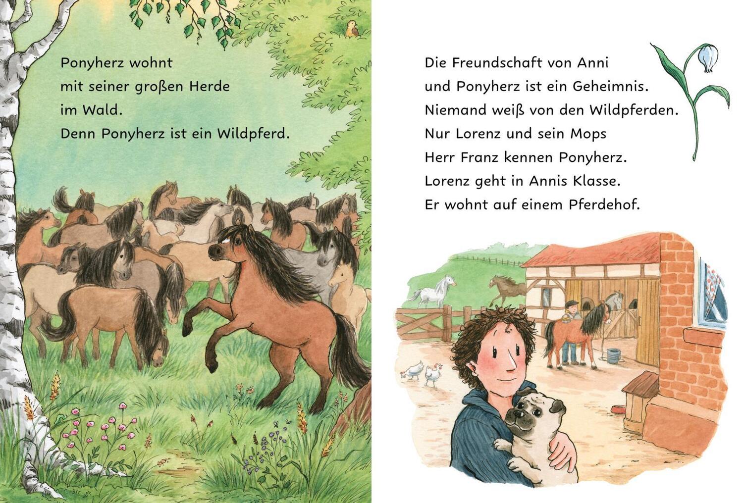 Bild: 9783551690845 | Ponyherz und Herr Franz: Ein Mops zieht aus | Usch Luhn | Buch | 64 S.