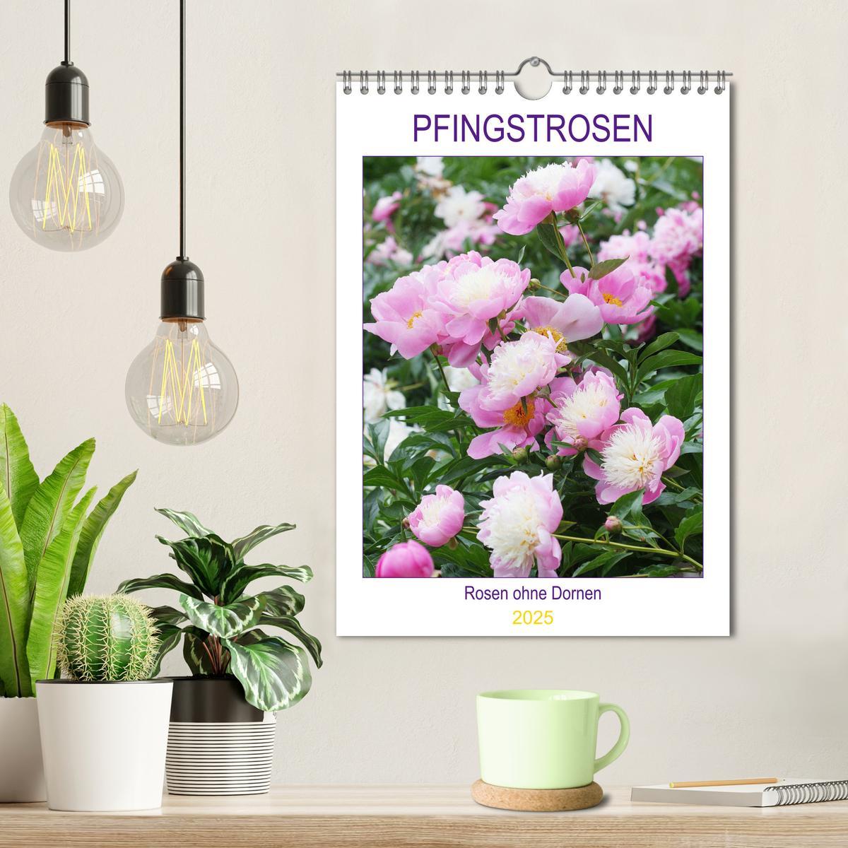 Bild: 9783435971886 | Pfingstrosen Rosen ohne Dornen (Wandkalender 2025 DIN A4 hoch),...