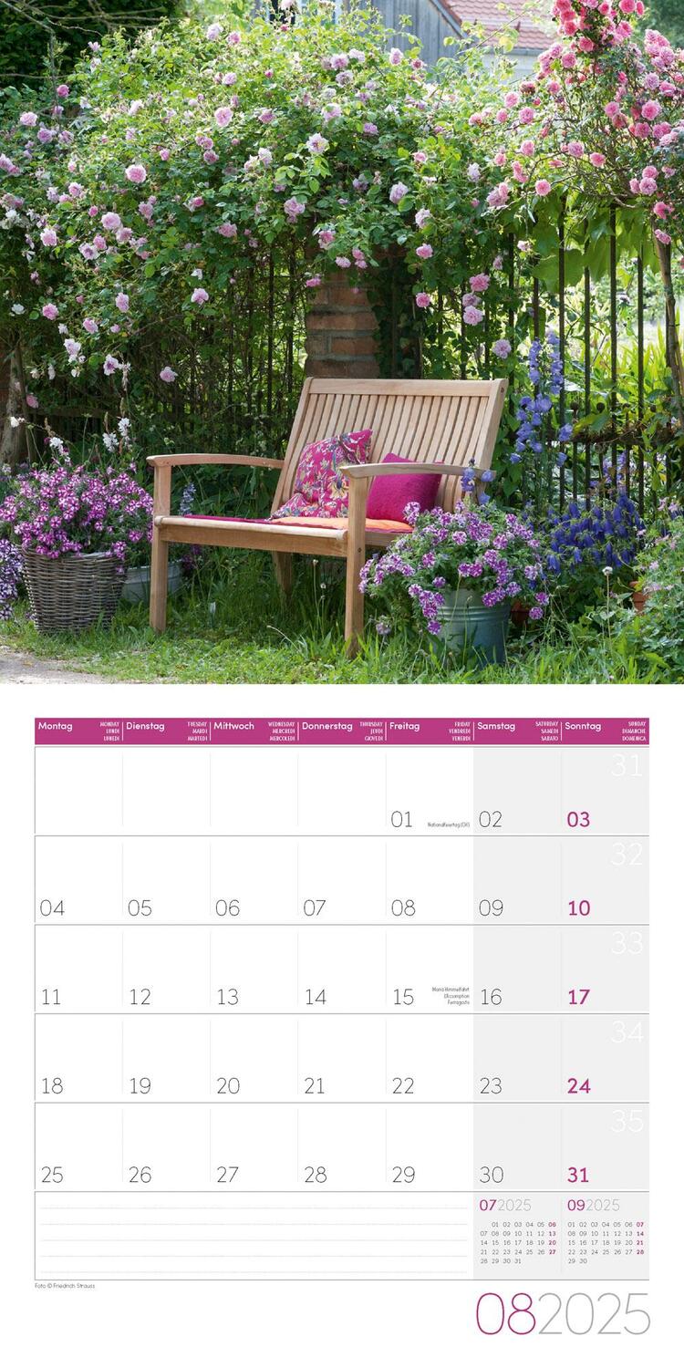 Bild: 9783838445304 | In meinem Garten Kalender 2025 - 30x30 | Ackermann Kunstverlag | 28 S.