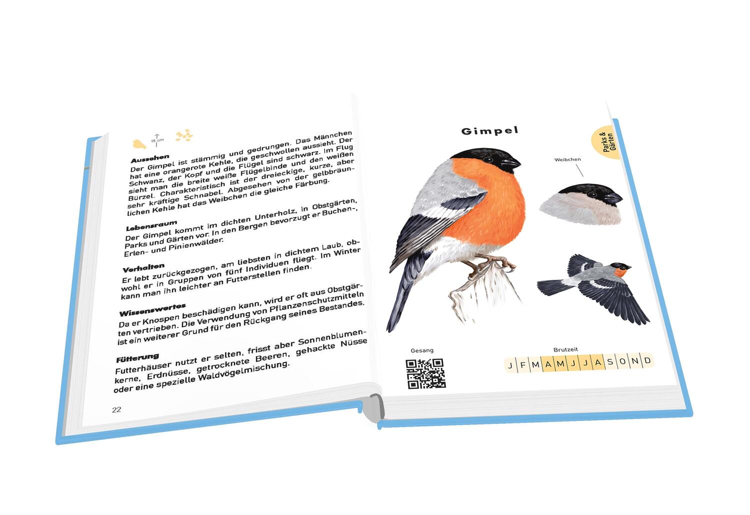 Bild: 9783730608272 | Anaconda Taschenführer Vögel. 70 Arten bestimmen und entdecken | Buch