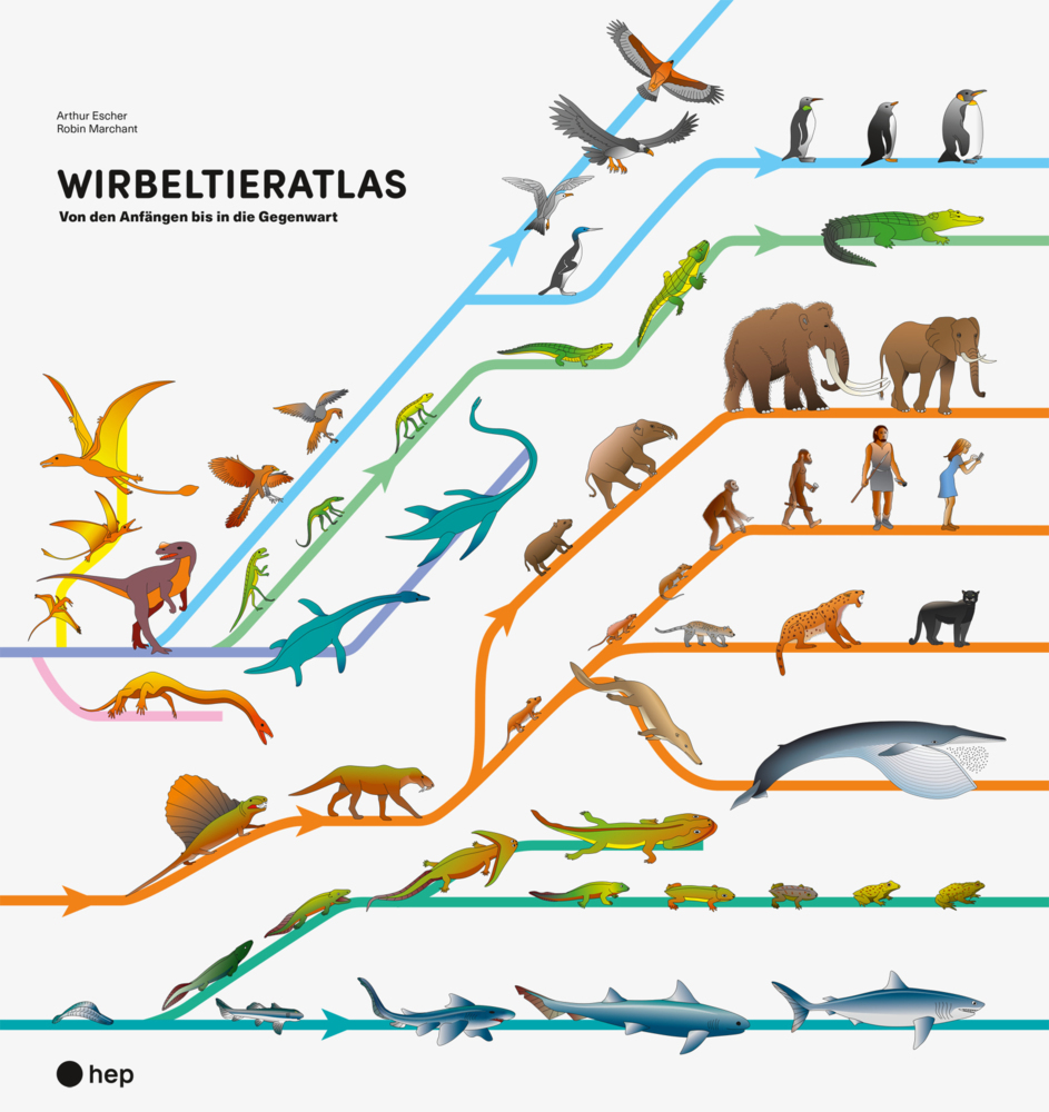 Cover: 9783035524024 | Wirbeltieratlas | Von den Anfängen bis in die Gegenwart | Buch | 46 S.