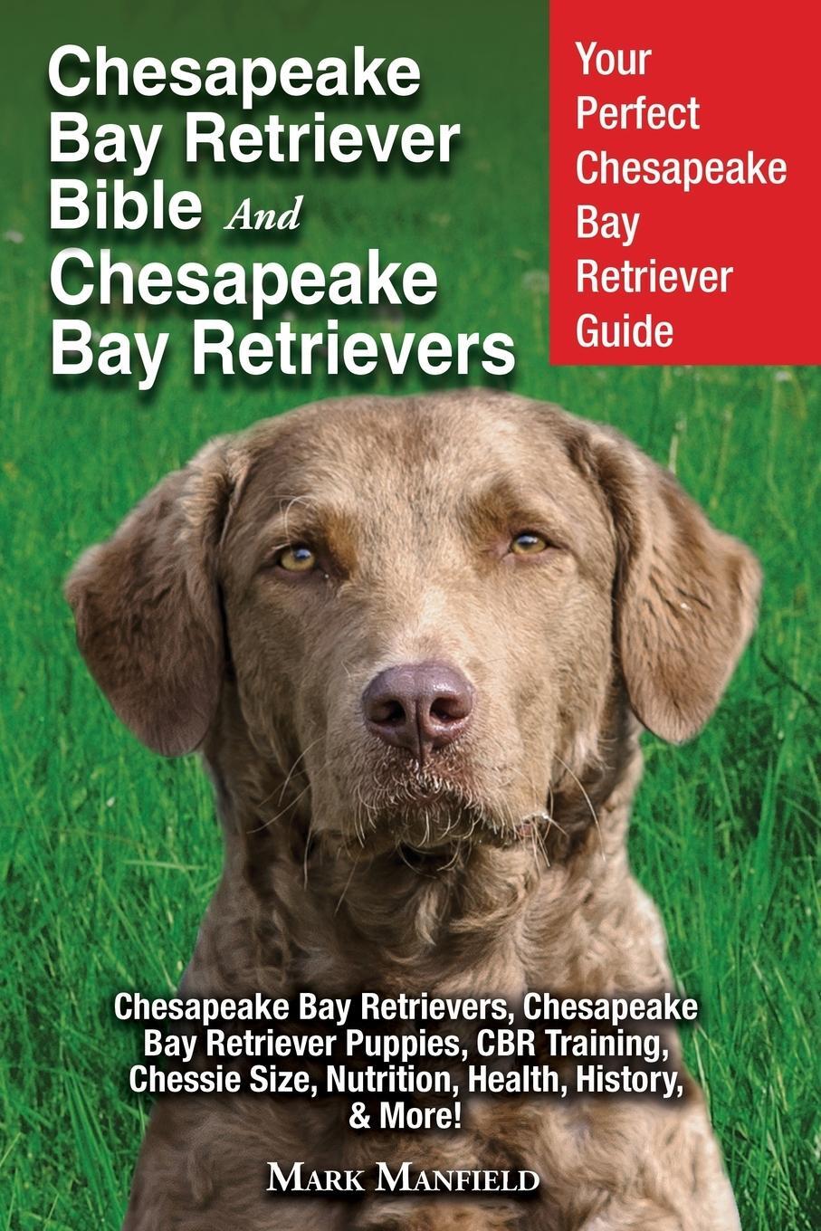 Cover: 9781911355885 | Chesapeake Bay Retriever Bible and Chesapeake Bay Retrievers | Buch