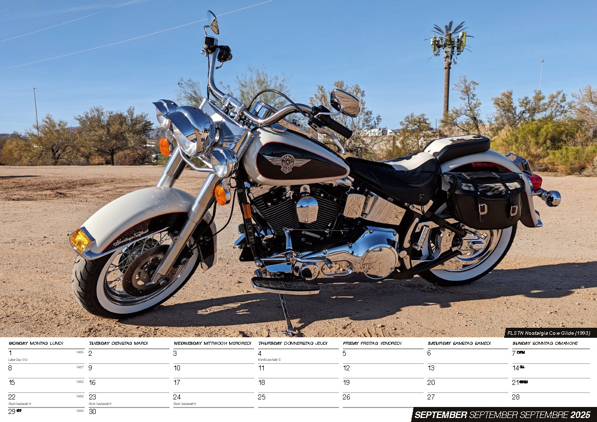 Bild: 9798893610314 | Harleys 2025 - Der Harley Davidson Kalender | Kalender | 14 S. | 2025