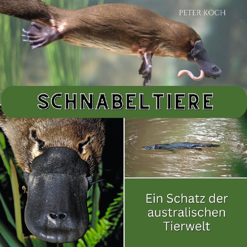 Cover: 9783750563728 | Schnabeltiere | Ein Schatz der australischen Tierwelt | Peter Koch