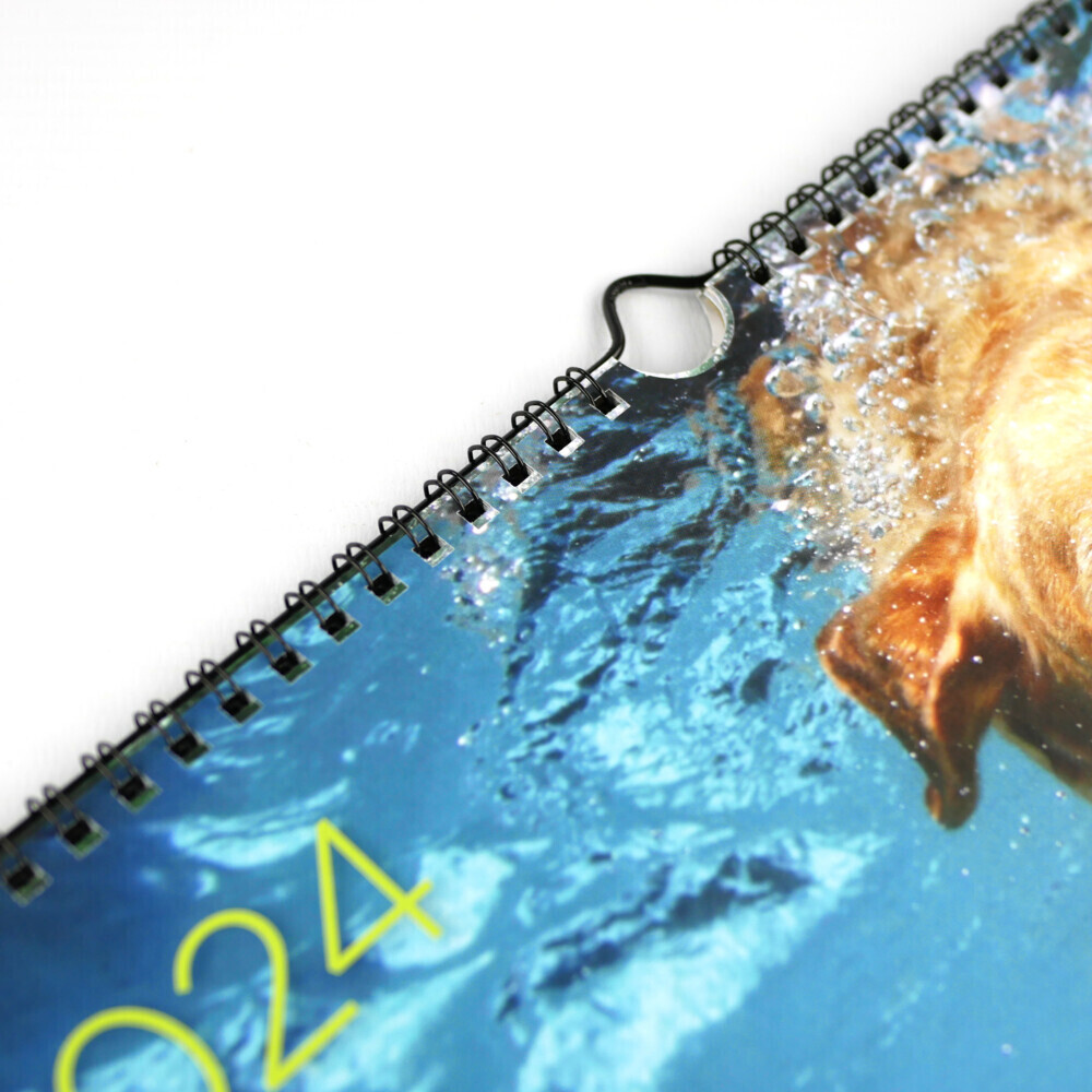 Bild: 9783742323521 | Hunde unter Wasser 2024 | Seth Casteel | Kalender | Spiralbindung
